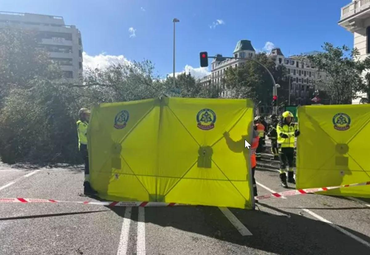 Primera víctima mortal per la Ciarán a Espanya: un arbre mata una jove al mig de Madrid