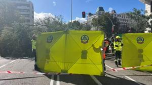 Primera víctima mortal per la Ciarán a Espanya: un arbre mata una jove al mig de Madrid