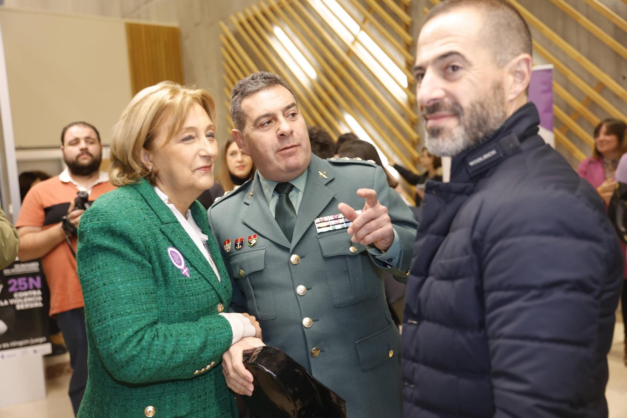 Así fue el acto institucional por el 25N