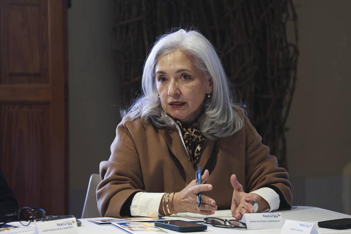 María Eugenia Coronado, directora general de la Fundación Naturgy, en el Museu Comarcal de l'Horta Sud.