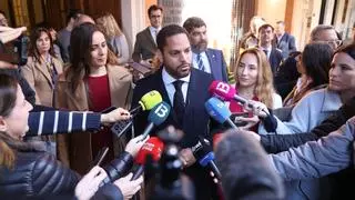 Ignacio Garriga avisa al Govern de Prohens: "Cuando está Vox, arrastramos al PP a hacer todo aquello que no se atreve"