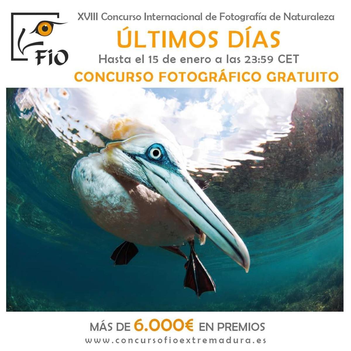 El cartel del concurso fotográfico.