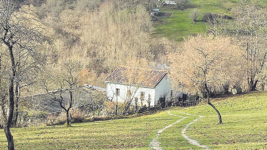 La vivienda que asaltaron los detenidos.