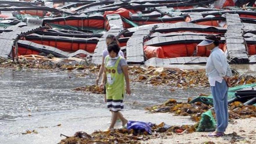 Varias personas observan los estragos del tifón Muifa en Wando, al sur de Seúl, este lunes