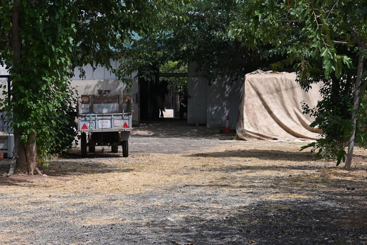 La entrada a la parcela donde se ubica el zoo clandestino en Nules.