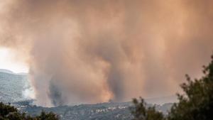 Un còctel de vegetació seca, calor i baixa humitat, el combustible dels incendis extrems de Madrid i  Àvila