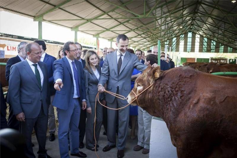 Visita de los reyes a Zafra en imágenes