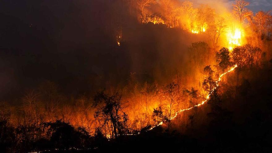Incendio de Ávila: podría ser el cuarto más extenso de España desde 1961