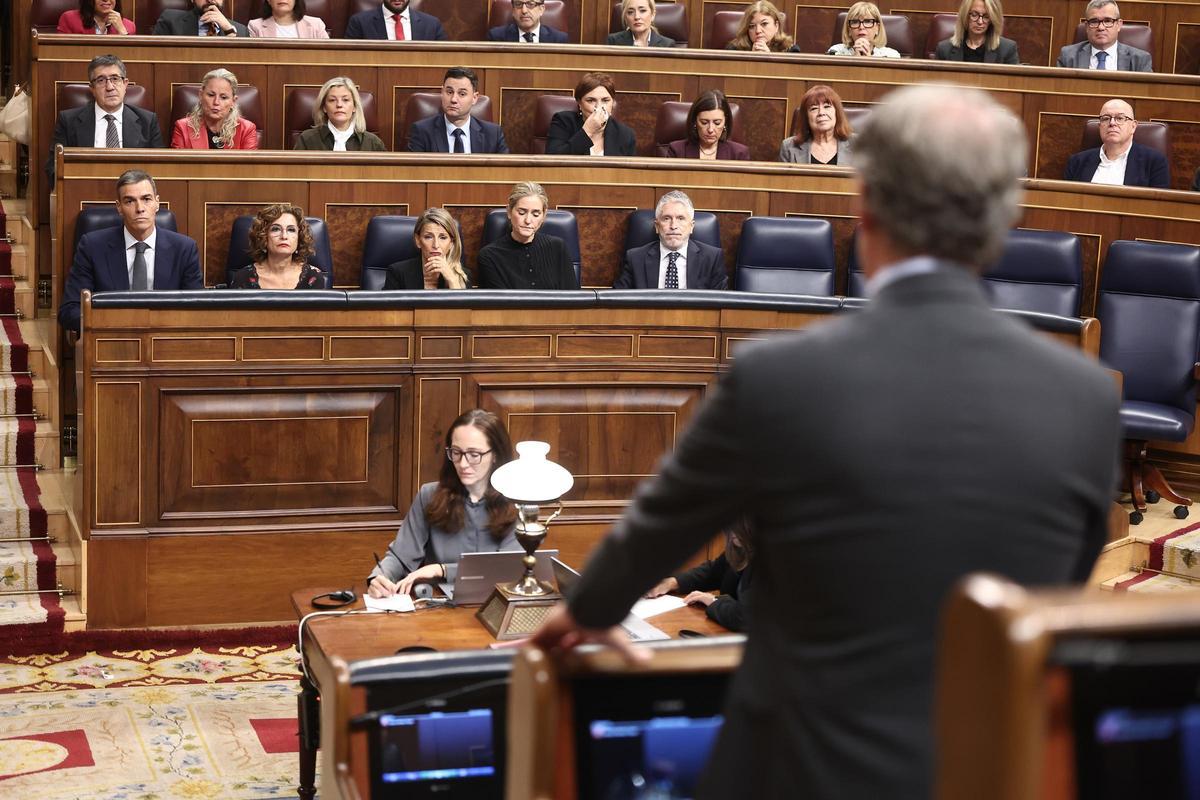 El presidente del PP, Alberto Núñez Feijo (de espaldas), el presidente del Gobierno, Pedro Sánchez, junto a otros ministros en el Pleno del Congreso.