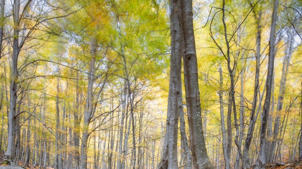 La naturaleza fuera de Barcelona está infravalorada.