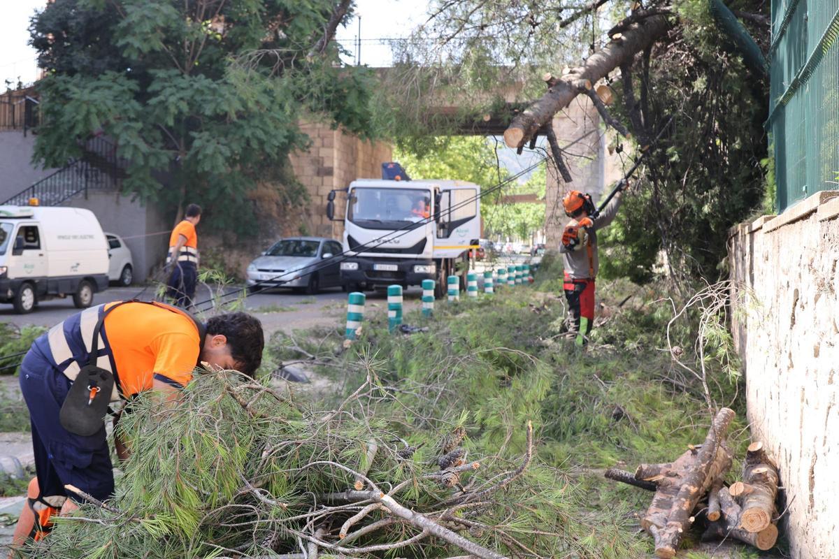 Imágenes del día después en Alcoy tras el temporal