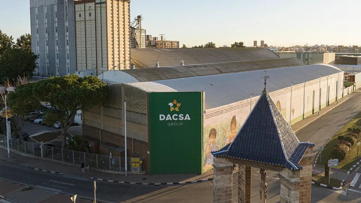 Planta de Dacsa a Almàssera, en una imatge d’arxiu