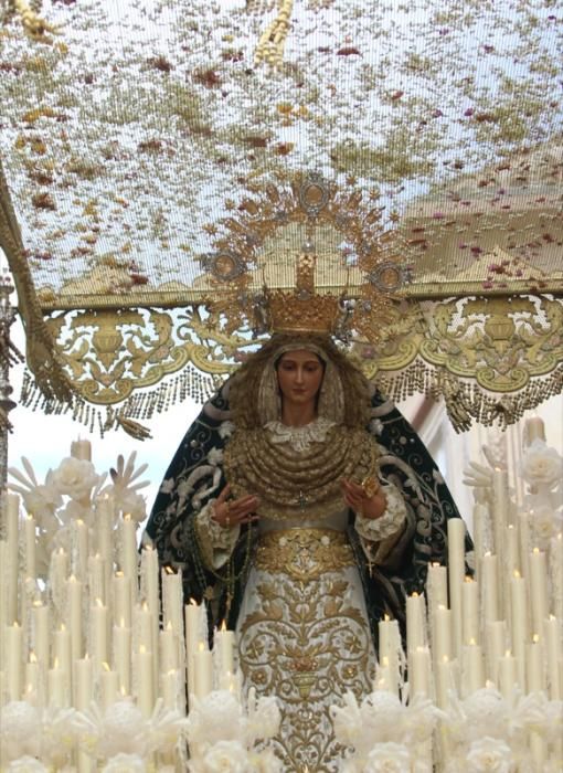 Domingo de Ramos de 2016 | Pollinica