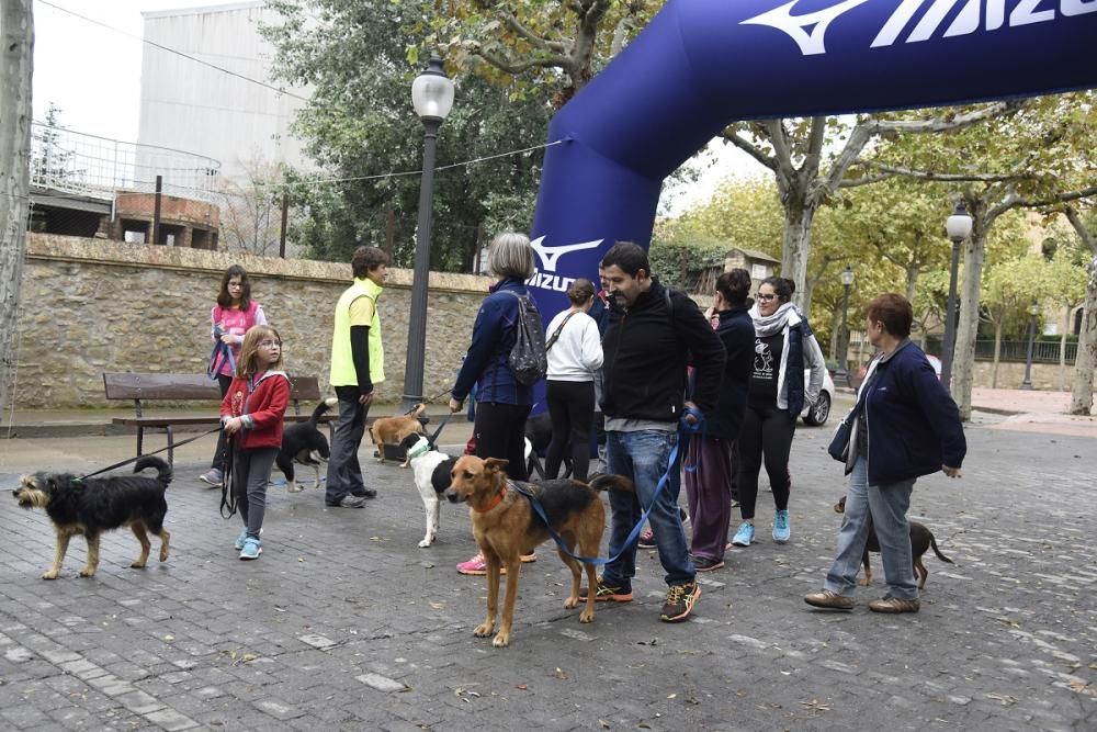 Caminada solidària de Regió7 a Solsona