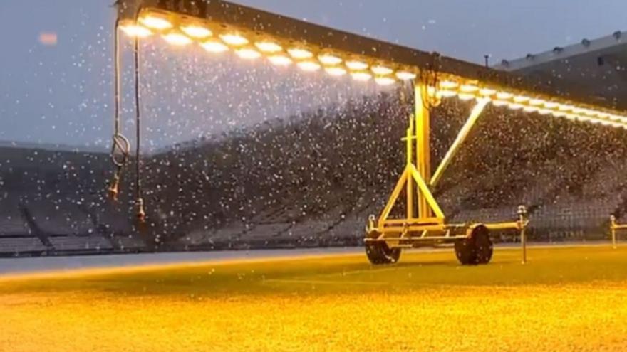 Así amaneció ayer el césped del estadio burgalés