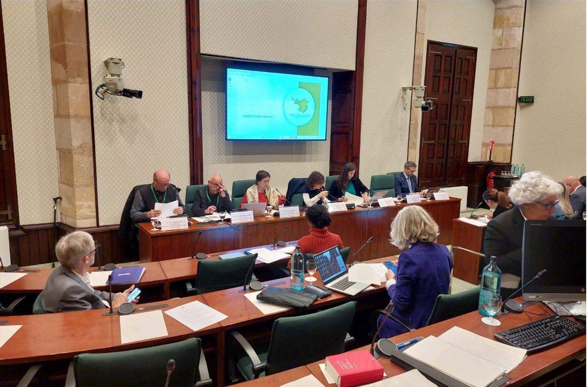 Um moment de la sessió de treball de la comissió.