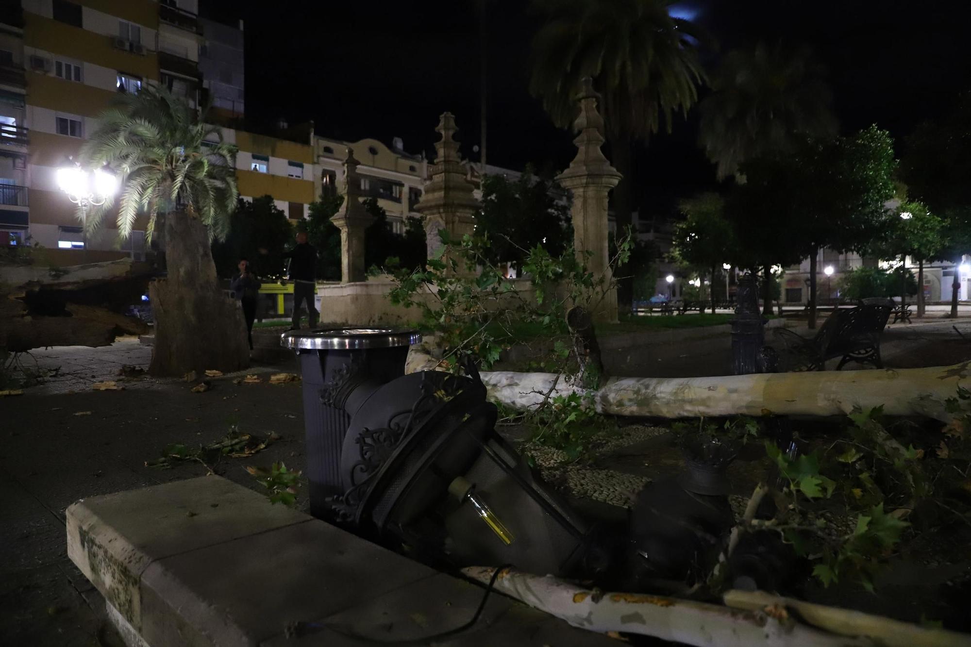 Los efectos del temporal en Córdoba, en imágenes