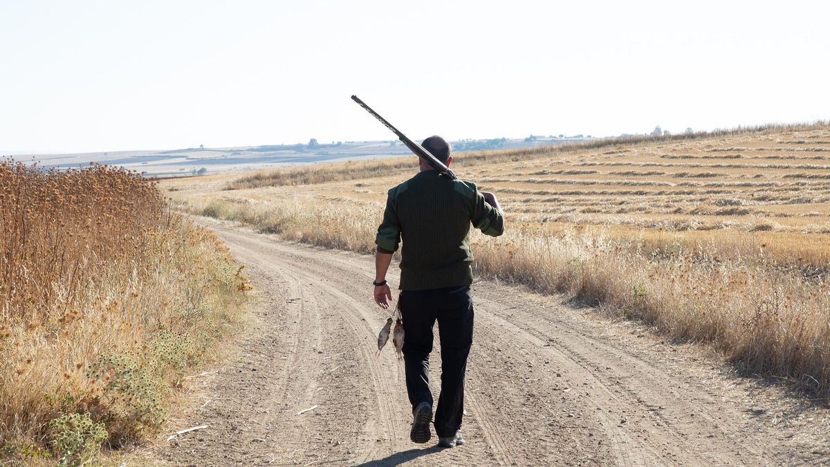 Un cazador pasea, escopeta en mano, por un camino.