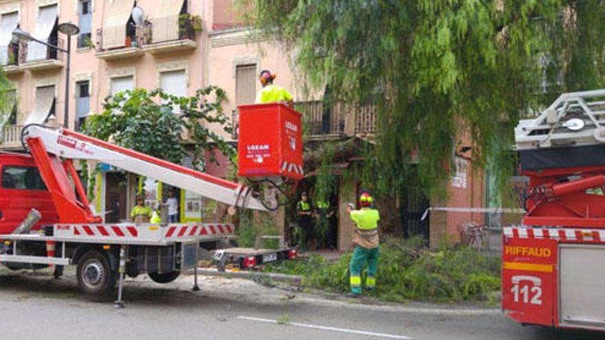 Un árbol se desploma en Les Tendentes