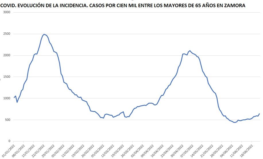 Evolución de la incidencia del coronavirus en Zamora entre los mayores de 60 años