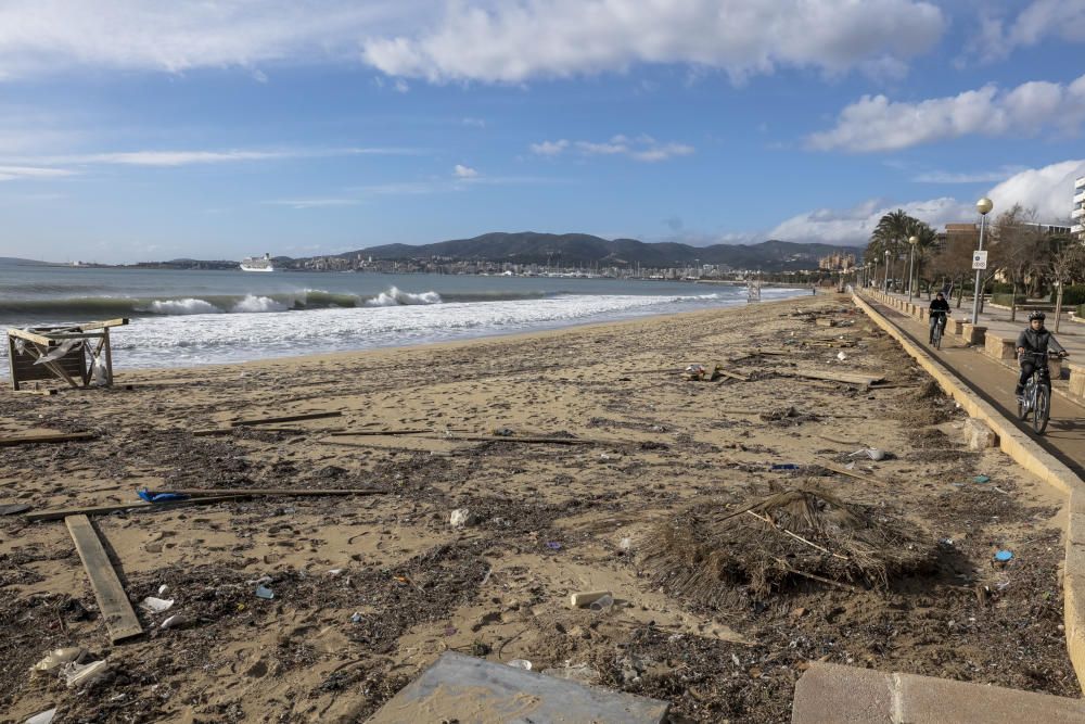 El litoral de Palma amanece lleno de plásticos y toallitas