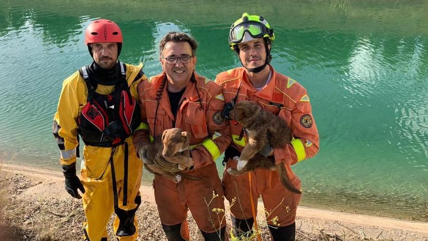 Rescatados dos cachorros en el canal Xúquer-Túria