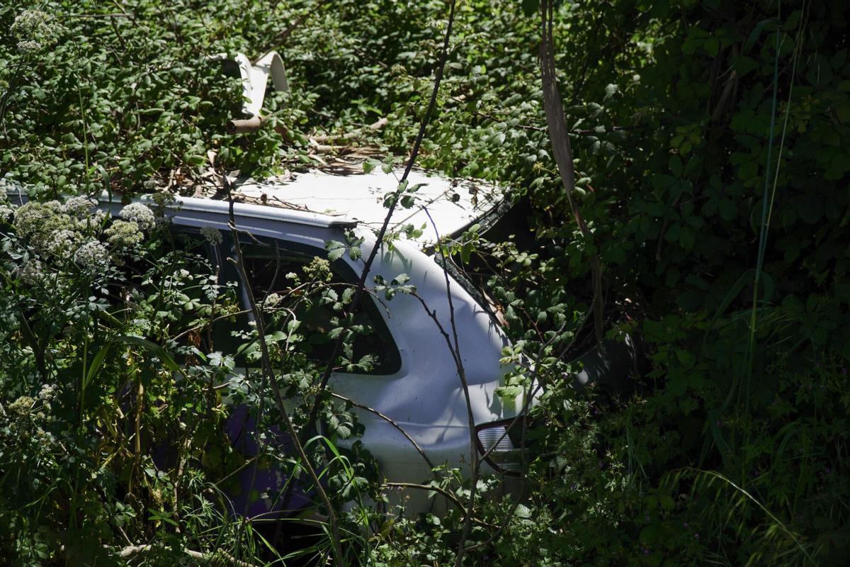 Audi A3 abandonado en Oleiros, A Coruña.