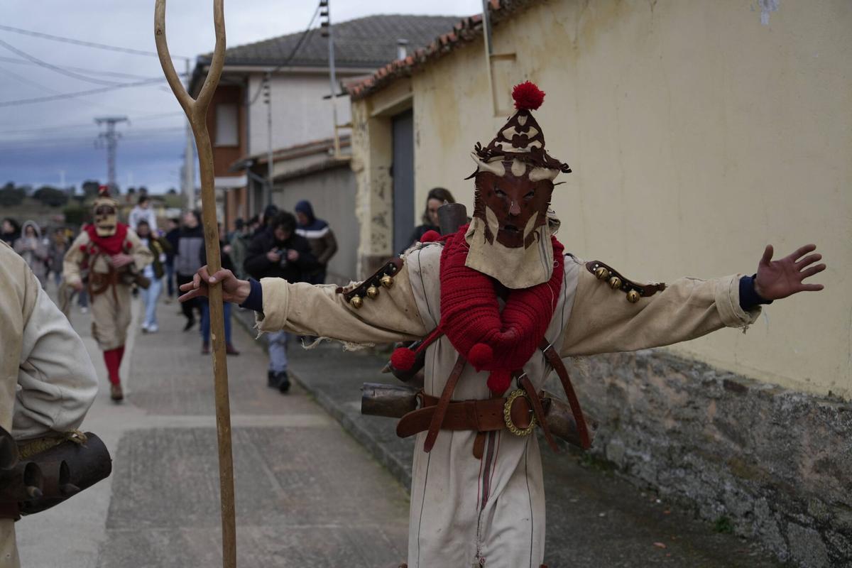GALERÍA | La Vaquilla y los Cencerros reviven el antruejo más tradicional en Palacios del Pan