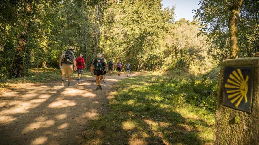 Tui da la bienvenida a peregrinos y turistas