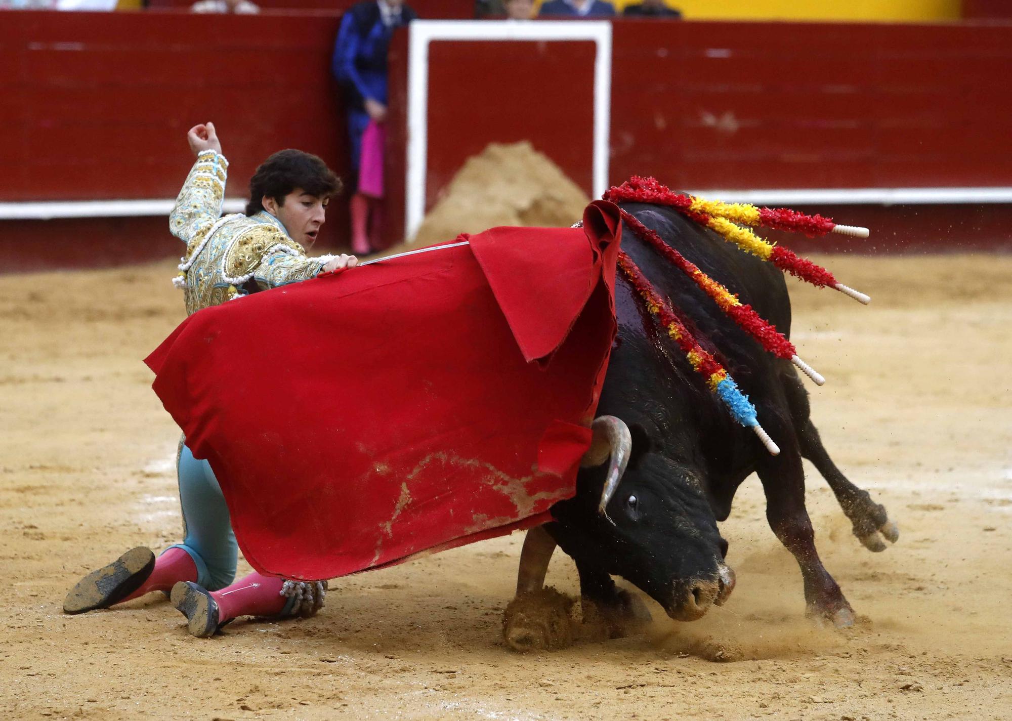 "El Niño de las Monjas", primera puerta grande de Fallas