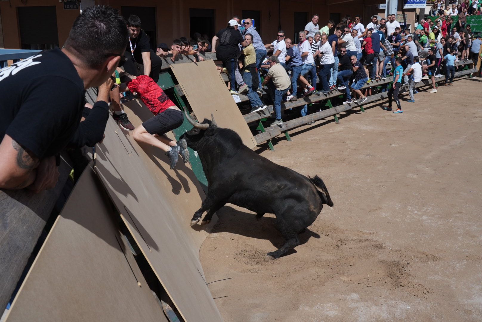 Las mejores imágenes de la jornada festiva en Vila-real