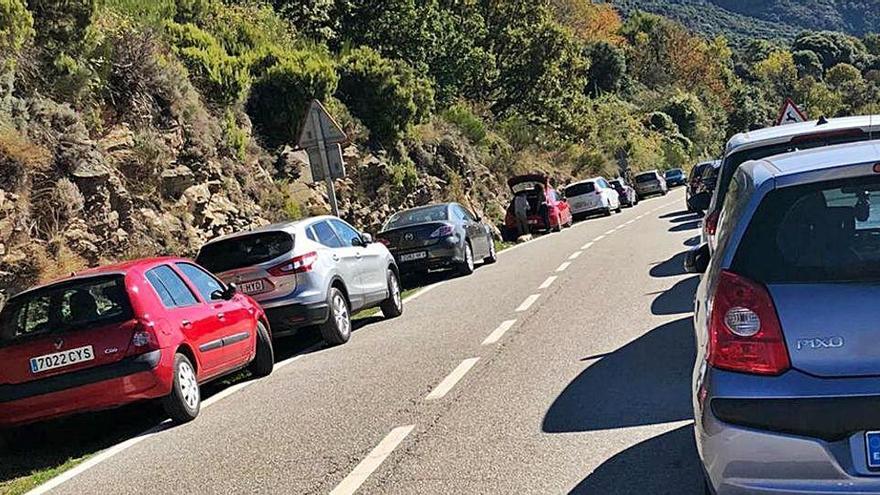 Agrupació de vehicles aparcats al voral de la carretera BV-5301, dins el Parc Natural del Montseny.