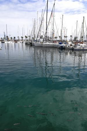 LAS PALMAS DE GRAN CANARIA 04-11-2018  LAS PALMAS DE GRAN CANARIA.  Reportaje previo a la ARC 2018.   FOTOS: JUAN CASTRO  | 04/11/2018 | Fotógrafo: Juan Carlos Castro