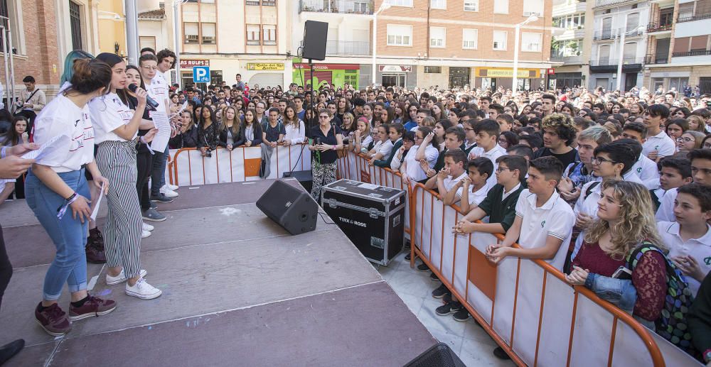 Carme Ripollés