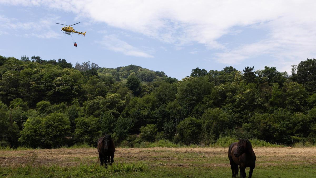 Un helicóptero durante las labores de extinción de un incendio forestal, a 14 de junio de 2026, en Grado, Asturias (España).