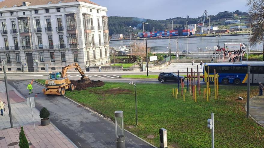 Un momento de las labores de retirada de la palmera. | Lne