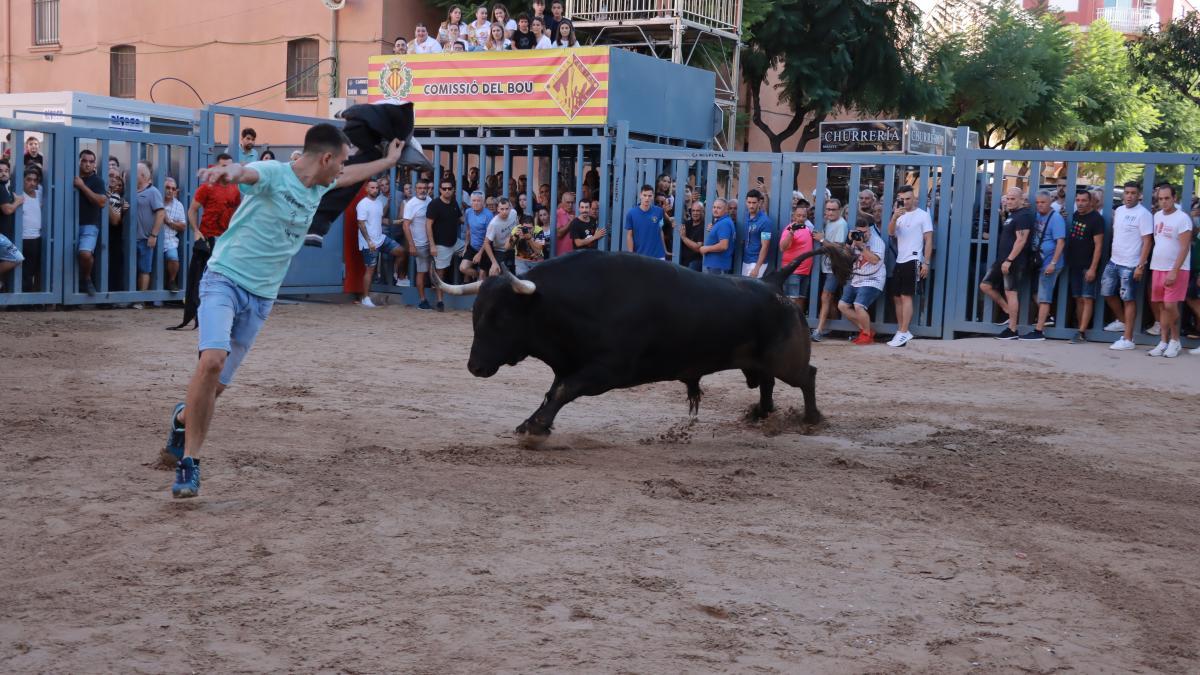 &#039;Bous al carrer&#039; en Vila-real