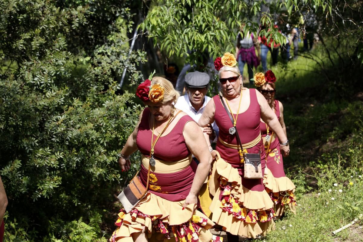 La Romería, camino de Linares