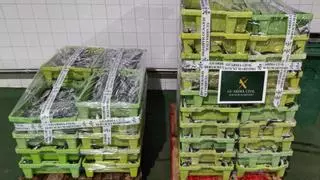 La Guardia Civil se incauta de casi 800 kilos de sardinas en Sada