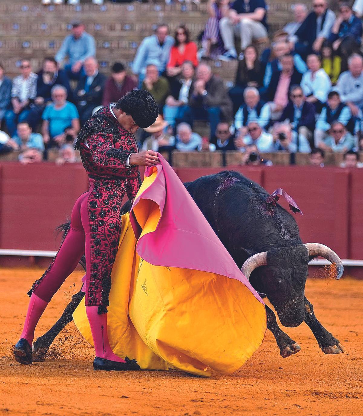Emiliano Osornio, con el capote, en La Maestranza de Sevilla.