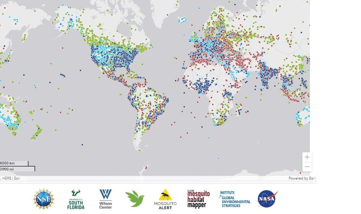 Distribución de mosquitos rastreados con la nueva herramienta