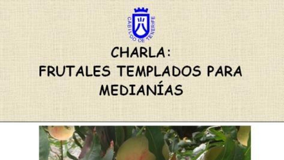 Ayuntamiento y Agrocabildo organizan una charla gratuita sobre frutales templados para medianías