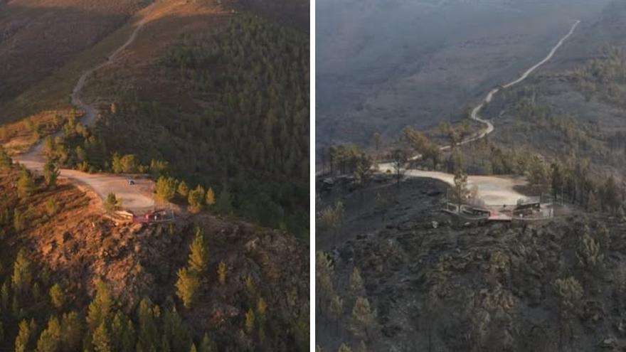 sta de pájaro antes y después de las llamas
