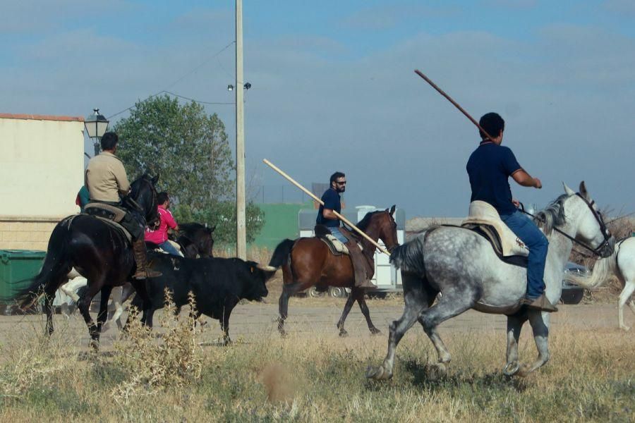 Villalpando despide los toros