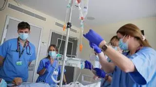 La Fe supera los 100 trasplantes de médula ósea en adultos en un año