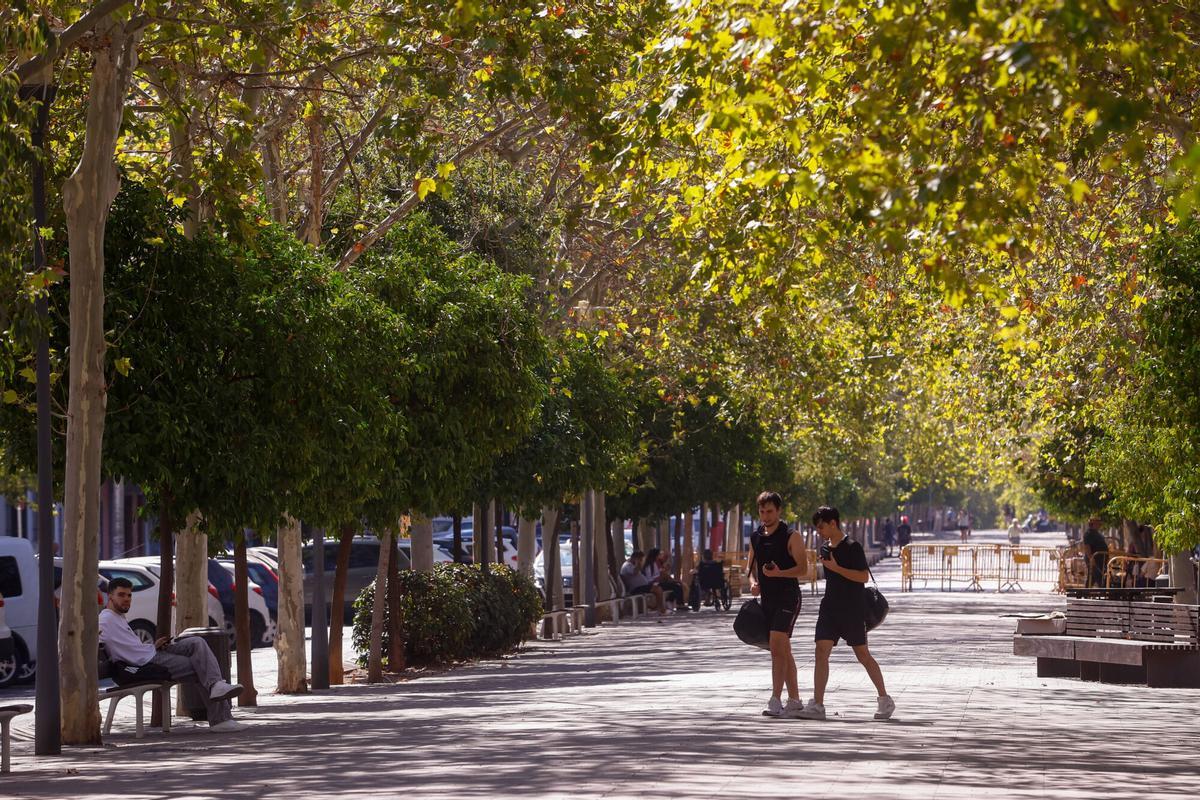 Avenida Gran Vía Parque, futuras reformas en las grandes avenidas de Córdoba