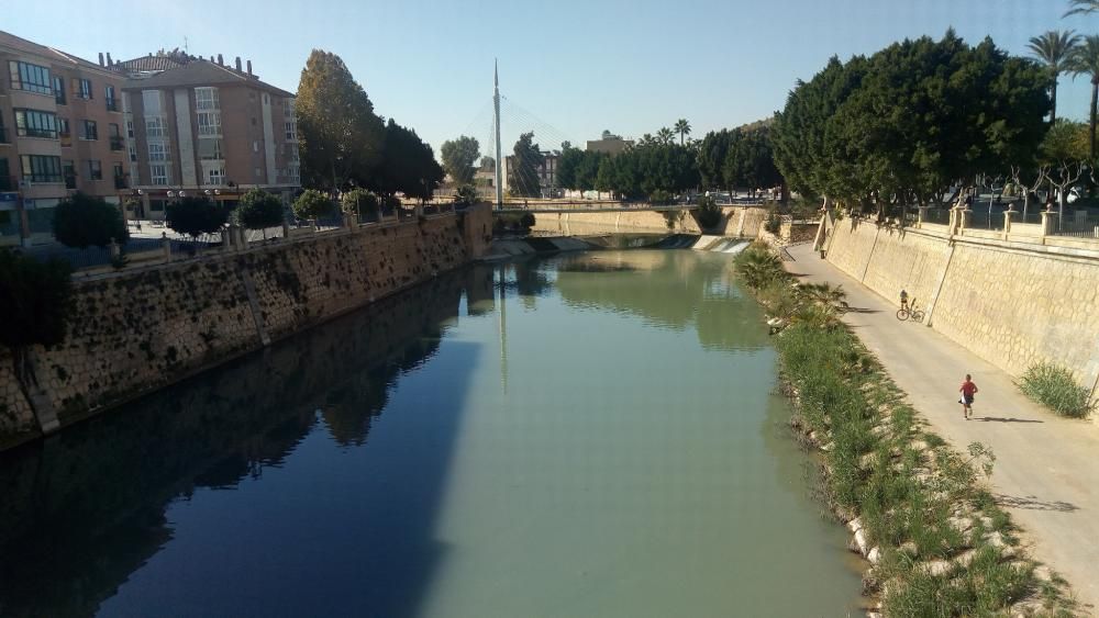 El río Segura a su paso por Murcia