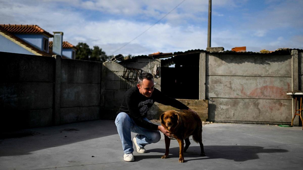 Bobi de 30 años, el perro más viejo del mundo según el Guinness World Records en Conqueiros, Portugal.