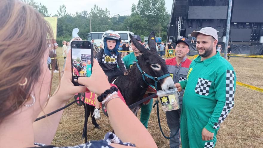VÍDEO: Así fue el Desfile de Burros de Pañeda