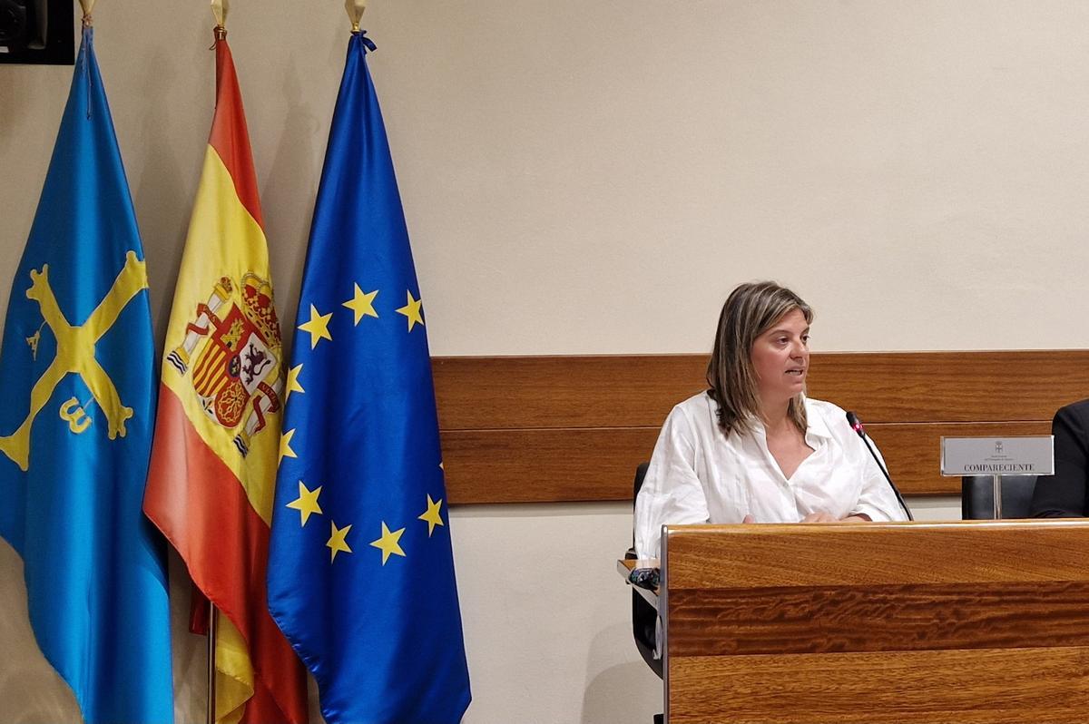 Gimena Llamedo durante su comparecencia en comisión parlamentaria.